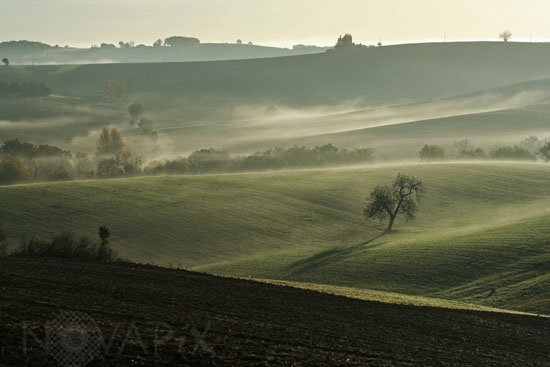 Brume matinale