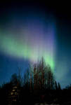 Aurore boréale en Alaska 01/2003