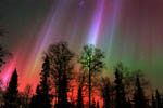 Aurore boréale -Finlande - 10/2003