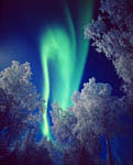 Aurore boréale -Finlande - 11/1998