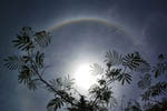 Halo autour du Soleil