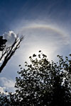Halo autour du Soleil