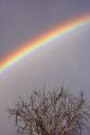 Arc-en-ciel avec arcs surnuméraires