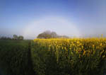 Arc de brume