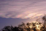 Nuage iridescent