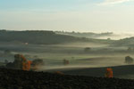 Brume matinale