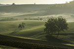 Brume matinale