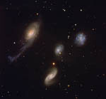 Le Quartet de Robert dans le Phénix