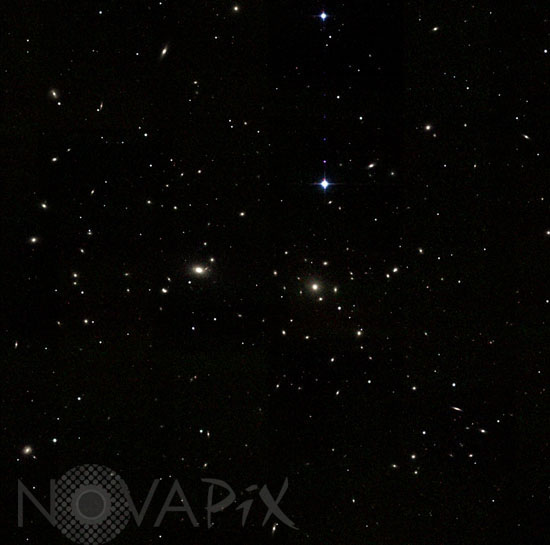 The Coma cluster (Abell 1656)