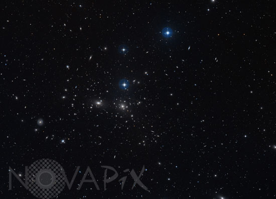 The Coma cluster (Abell 1656)