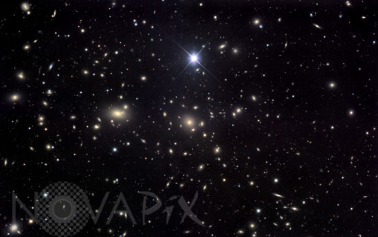 The Coma cluster of galaxies