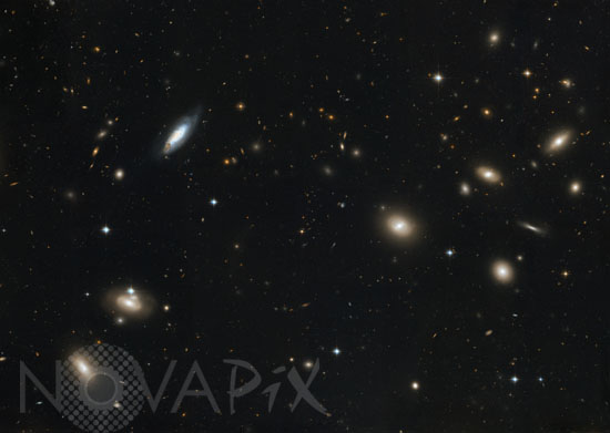Amas de galaxies Abell 1656 -Amas de Coma
