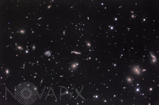 Amas de galaxies Abell 2151 -Amas d'Hercule