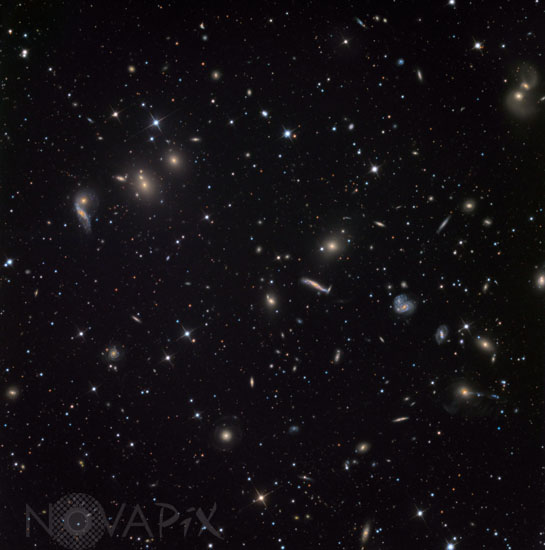 Amas de galaxies Abell 2151 -Amas d'Hercule