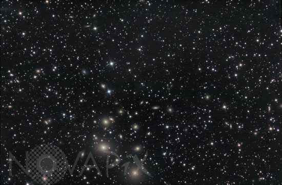 Amas de galaxies de Persée