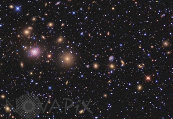 Amas de galaxies de Persée