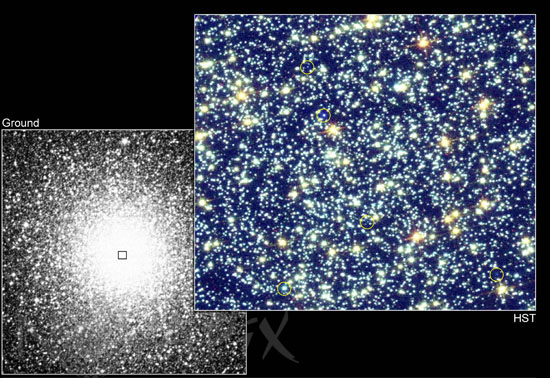 Blue stragglers in globular cluster 47 Tucanae