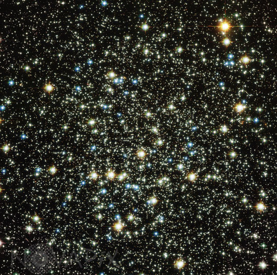 The Globular Cluster NGC 288