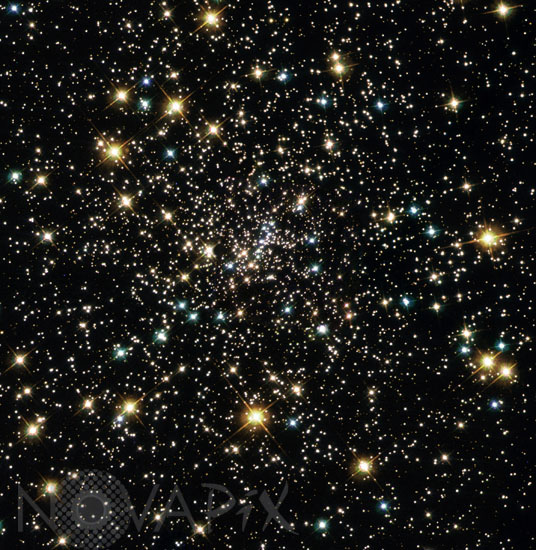 Stars in globular cluster NGC 6397 in Ara