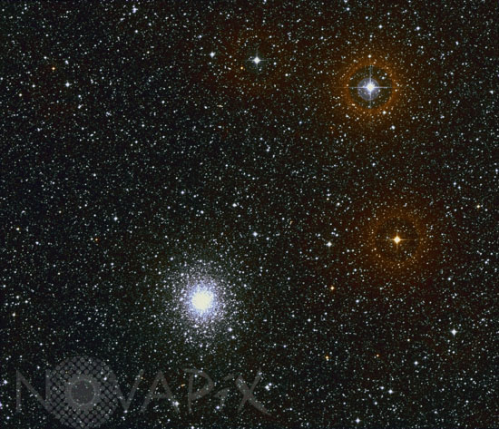 Amas globulaire NGC 6541 dans la Couronne australe