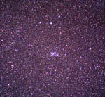 Amas ouvert NGC 6025 (C95) dans le Triangle austral