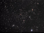 Amas ouvert NGC 7142 dans Céphée