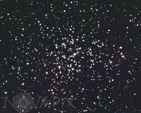 Open cluster M37 in Auriga