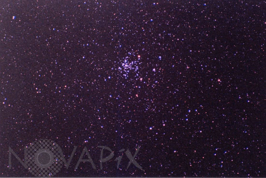 Open cluster NGC 2516 (C96) in Carina