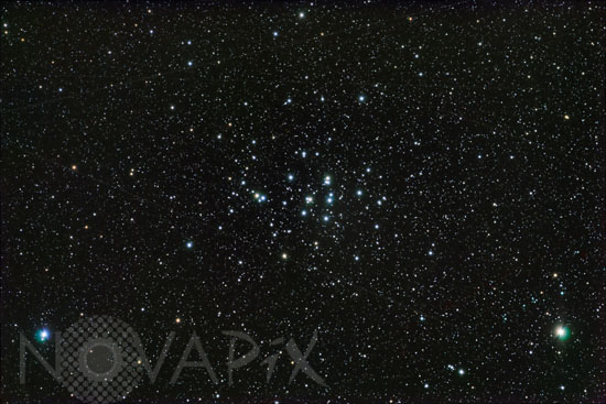 Open star cluster M44 in Cancer