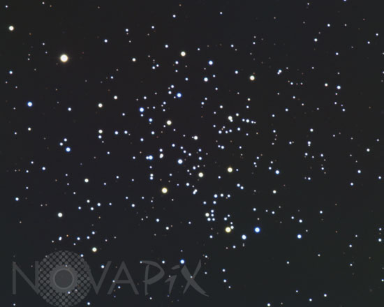 Amas ouvert M67 (NGC 2682) dans le Cancer