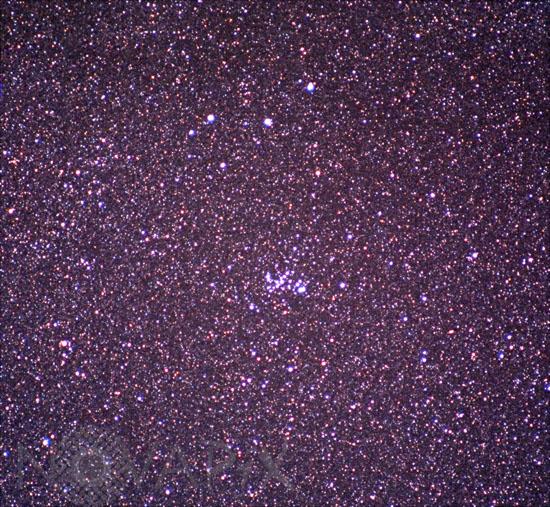 Amas ouvert NGC 6025 (C95) dans le Triangle austral