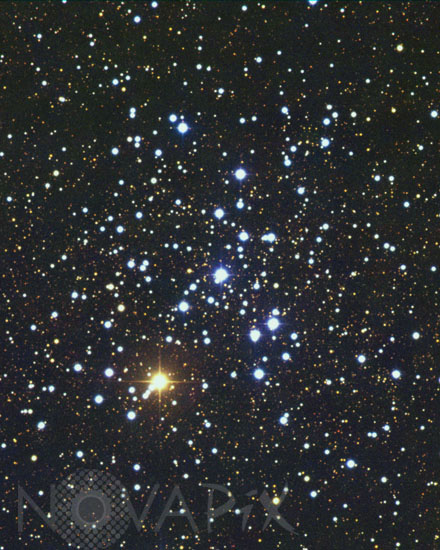 Amas ouvert NGC 6242 dans le Scorpion