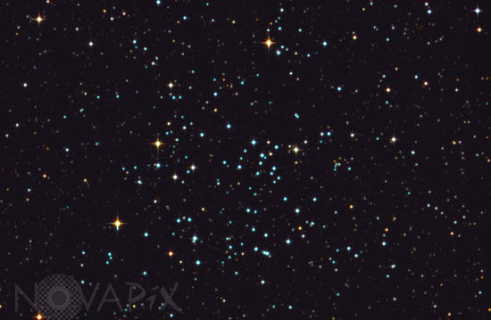 Amas ouvert NGC 6811 dans le Cygne