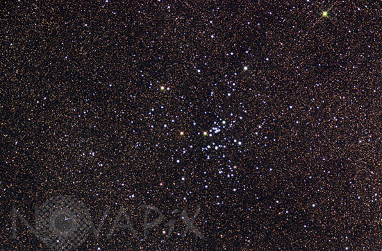 Amas ouvert M25 (IC 4725) dans le Sagittaire