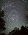 Circumpolaire