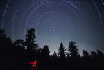 Circumpolaire