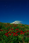 Circumpolaire et Mont Damavand (Iran)