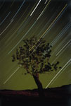 Filé d'étoiles