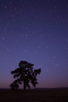 Circumpolaire 