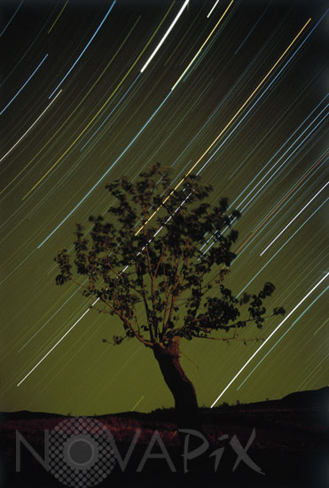 Filé d'étoiles