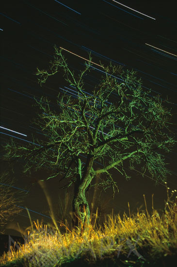 Star trails