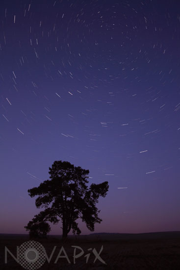 Circumpolaire 