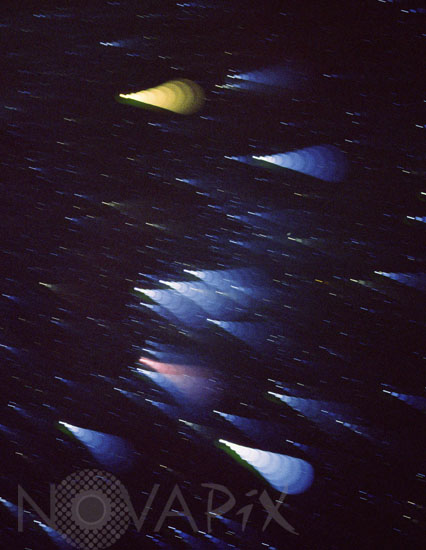 Star trails - The constellation of Orion
