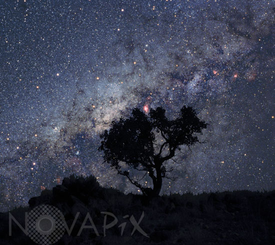 Starry sky