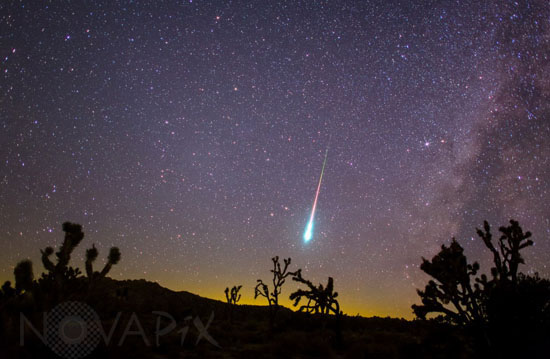 Perseid Meteor