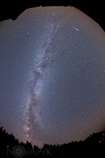 Perseid meteor