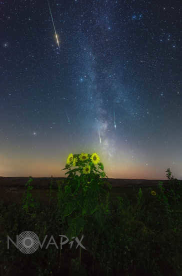 Pluie d'étoiles filantes - Perseides