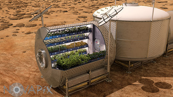 Potager sur Mars-Illustration