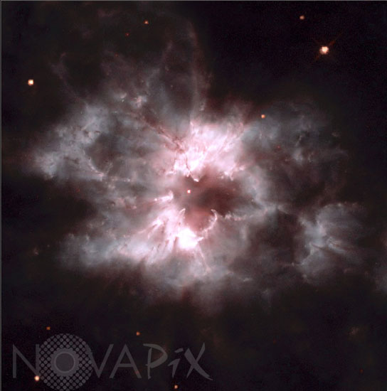 Planetary nebula NGC 2440 in Puppis