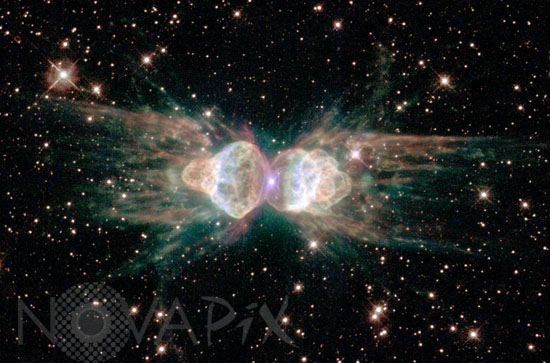The Ant nebula (Mz3) in Norma
